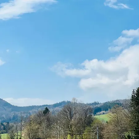 Bacherlhouse - Miglbach Apartmán