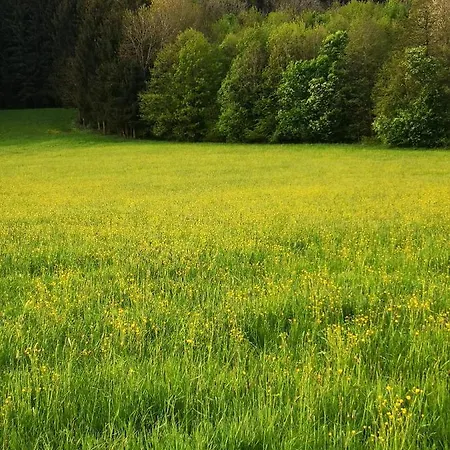Bacherlhouse - Miglbach Lejlighed