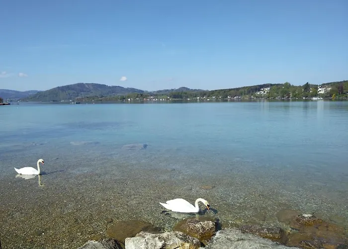 Διαμέρισμα Bacherlhouse - Miglbach Schörfling