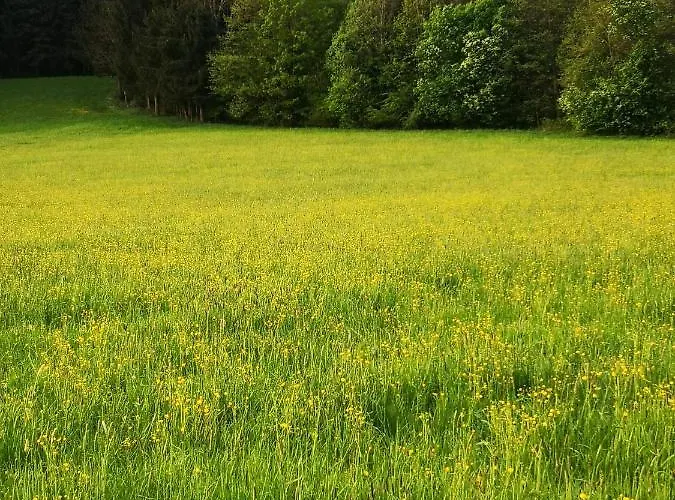 Bacherlhouse - Miglbach Апартаменты